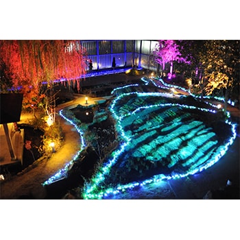 京都水族館、冬季限定ライトアップ開催！