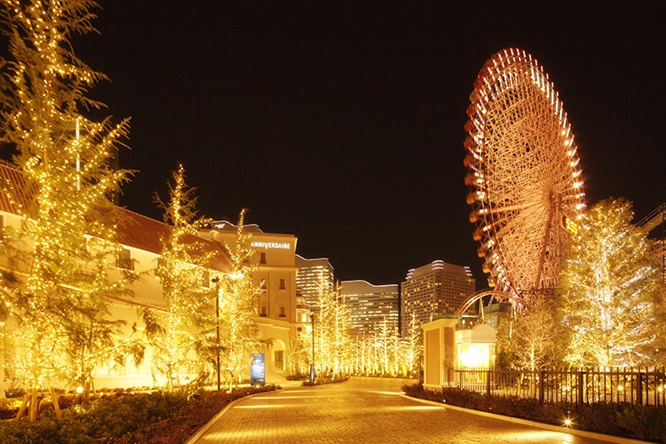 みんなでつくる横浜の夜景「ヨコハマ・イルミネーション・マンス」