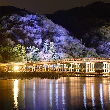 京都ならではのイルミネーション「京都・嵐山花灯路-2018」開催！
