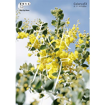 「植物生活 flower pop up store 春色花屋 Color of 3 K×P×M」吉祥寺PARCOに花のギフトが集合