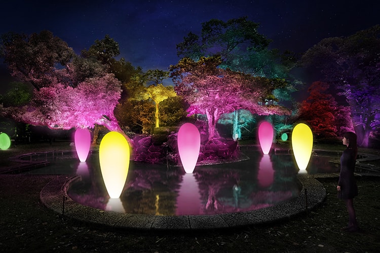 「チームラボ 広島城 光の祭」画像