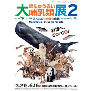 【招待券プレゼント】特別展「大哺乳類展2―みんなの生き残り作戦」が国立科学博物館で開催