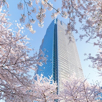 約150本の桜が春を祝福「MIDTOWN BLOSSOM 2019（ミッドタウン・ブロッサム）」
