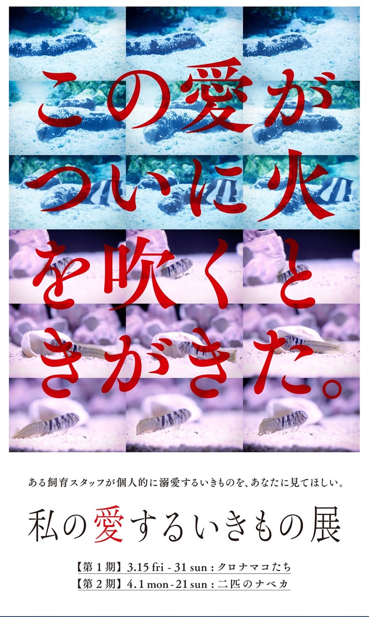 すみだ水族館と京都水族館の合同企画「私の愛するいきもの展」