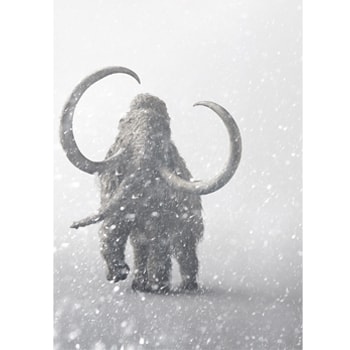 〈日本科学未来館〉で企画展「マンモス展」を開催、貴重な冷凍マンモスの標本を展示