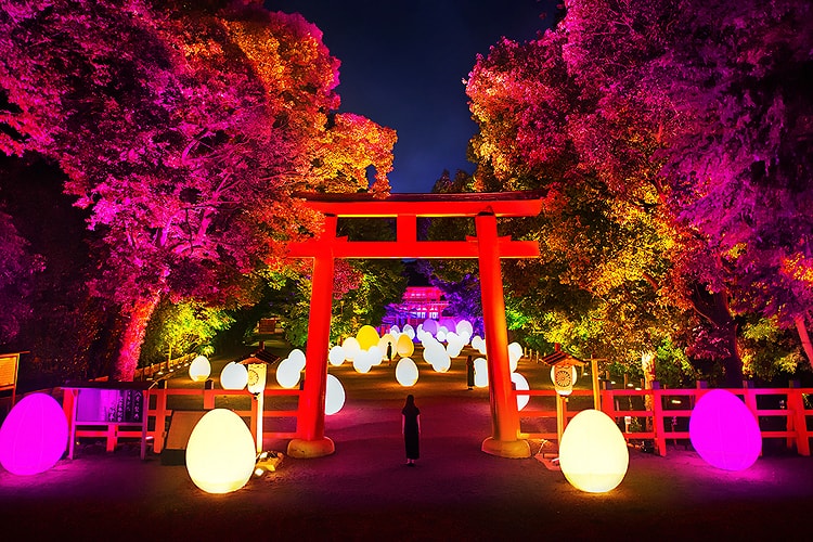 下鴨神社 糺の森の光の祭 Art by teamLab - TOKIO インカラミ
