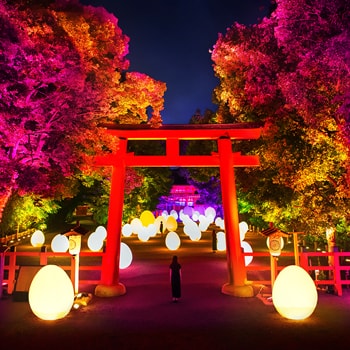 〈チームラボ〉「下鴨神社 糺の森の光の祭 Art by teamLab – TOKIO インカラミ」が今年も開催！