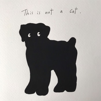 鎌倉のギャラリー〈John〉で髙島一精の個展「This is not a cat.」を開催