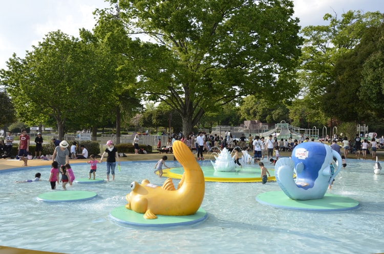 国営昭和記念公園の水遊び広場