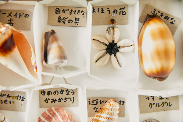 貝殻ひとつひとつが小さな箱に入れられて、美しく保管されているコレクション。子供にそれぞれの貝殻の名前を書いてみてと言ったら、ユニークなネーミングが。標本作り自体も、楽しいクリエイティブな時間に。

