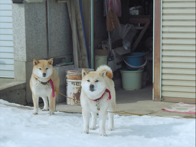 映画『泳ぎすぎた夜』。子どもがまとう“無”の空気を映像に閉じ込めた