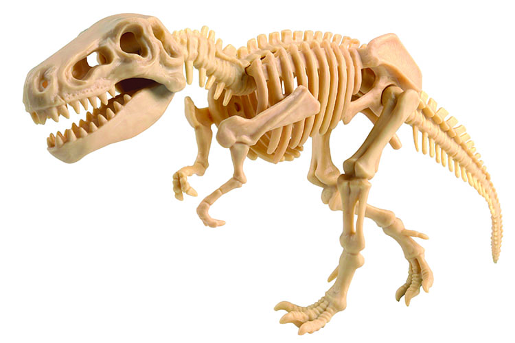 上等な 恐竜発掘キット 化石  ティラノザウルス  おもちゃ 化石発掘キット 骨格組立  恐竜発掘セット 知育 子供用