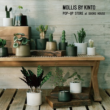 「MOLLIS BY KINTO」のポップアップストアが〈DOORS HOUSE〉にて開催！