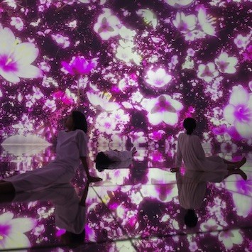 「チームラボプラネッツ」の春展示がスタート。超巨大没入空間に桜が広がる
