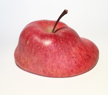 弘前れんが倉庫美術館で開催中の「りんご宇宙」。現代アーティストたちの想像力を満喫！