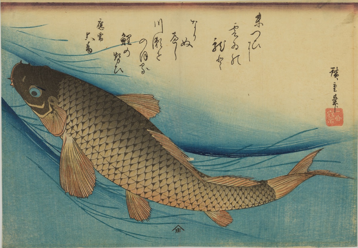 歌川広重 《鯉》 天保（1830〜44）後期頃
