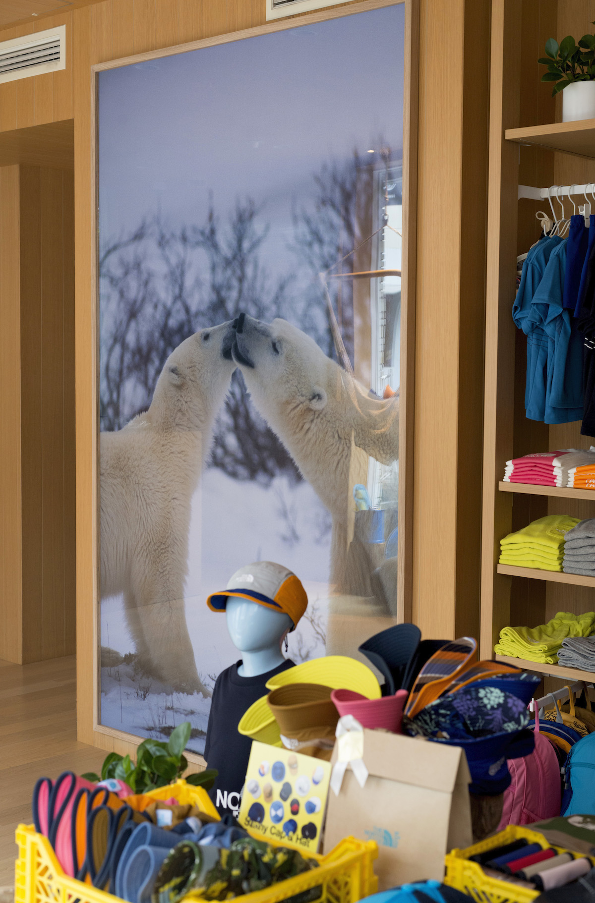 THE NORTH FACE kidsでの展示風景
