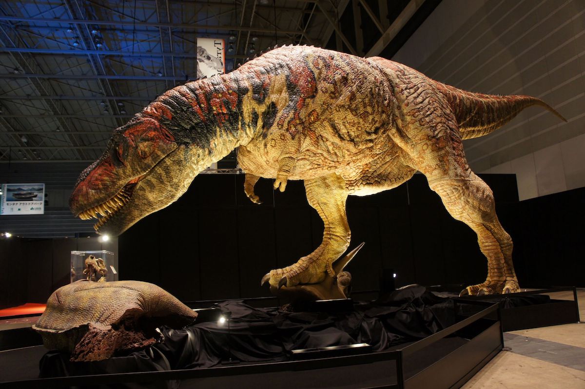 ティラノサウルス 実物大 ロボット
©ココロ
