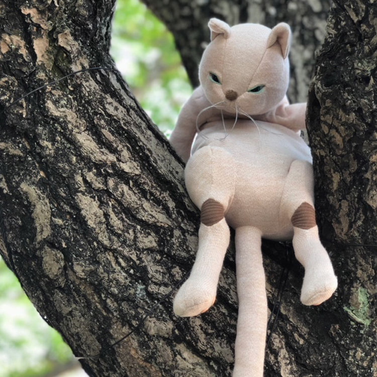 Forest Sy Dukke 猫ぬいぐるみ おもちゃカタログ ファス厳選 Fasu ファス
