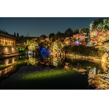 都会の中の幻想的オアシス「秋の庭園ライトアップ」が豊島区立目白庭園で開催！